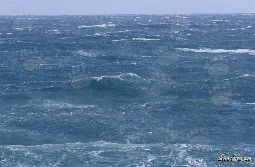 Stürmischer Atlantik vor Kap Agulhas, Südafrika