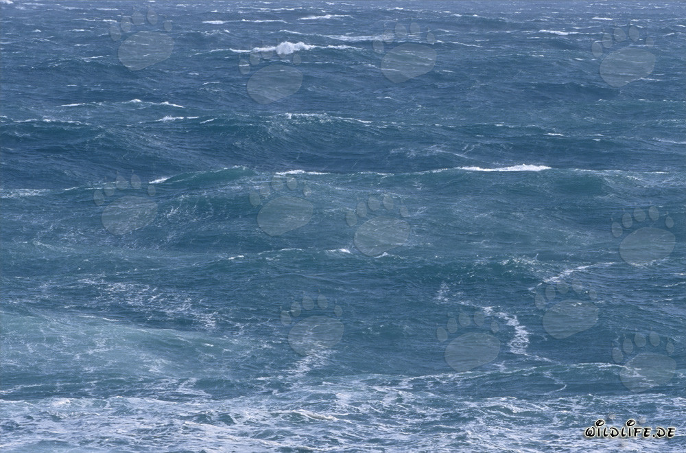 Storm at Cape Agulhas in the South Atlantic