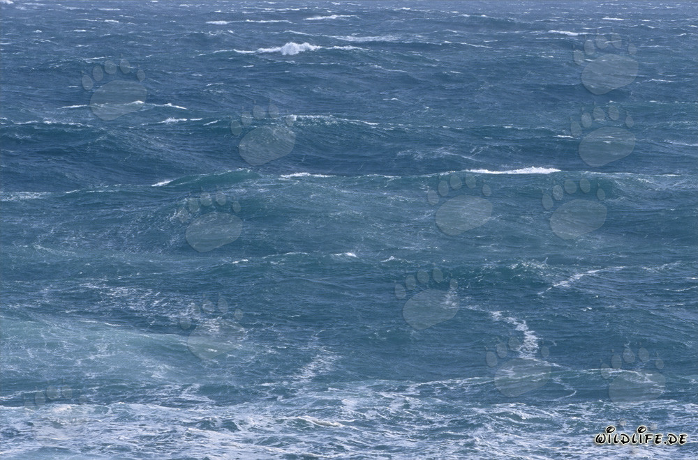 Sturm am Kap Agulhas im Südatlantik