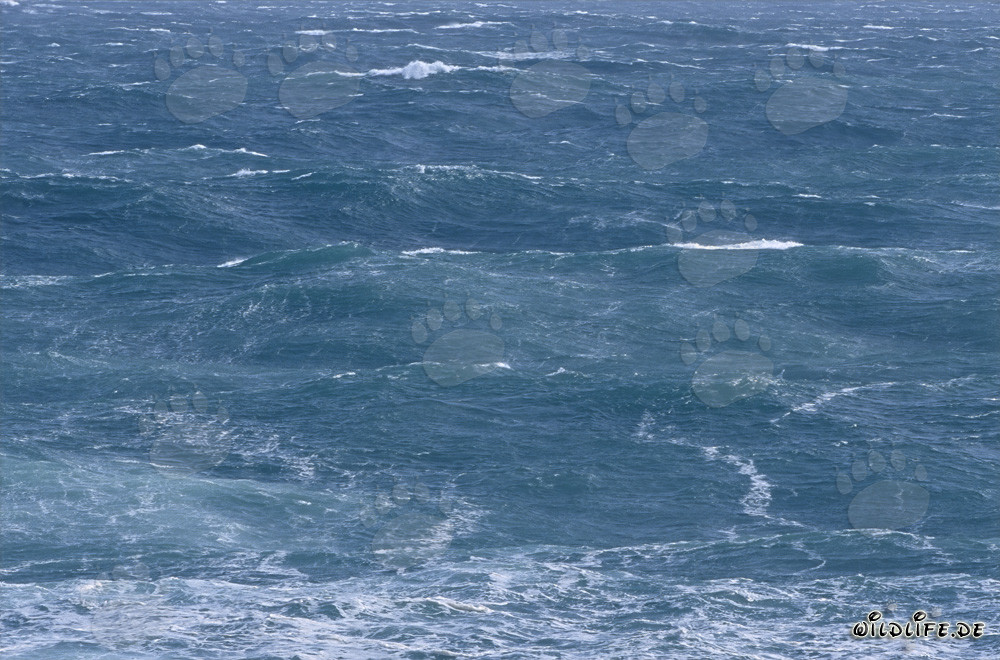 Tempesta al Capo Agulhas nell'Atlantico Meridionale