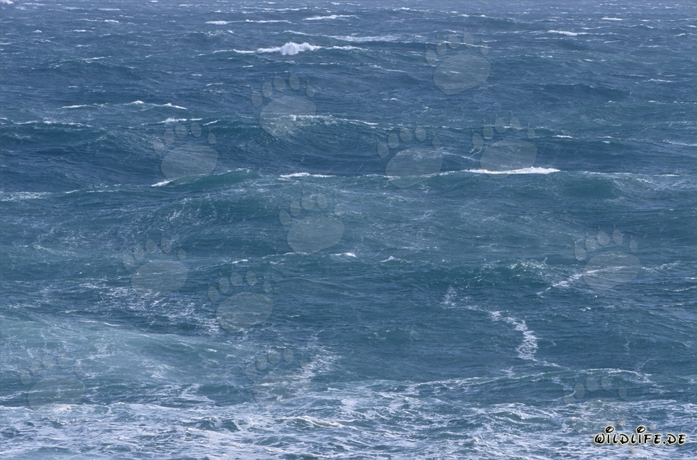 Tormenta en el Cabo Agulhas en el Atlántico Sur