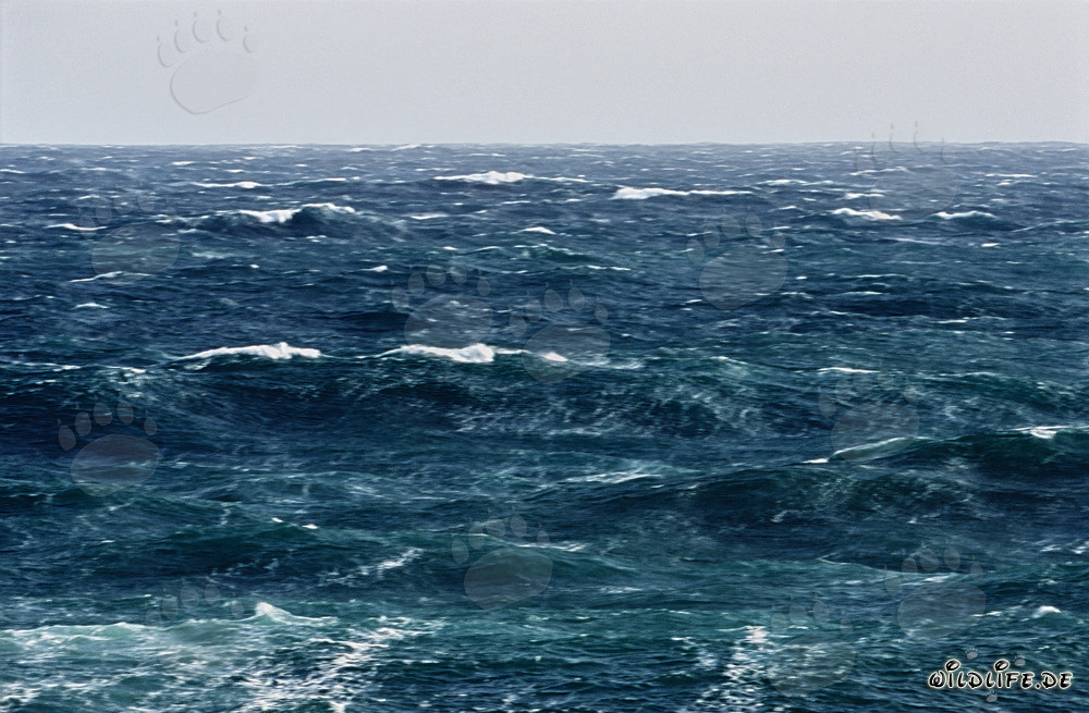 Scène tumultueuse à la pointe sud de l'Afrique