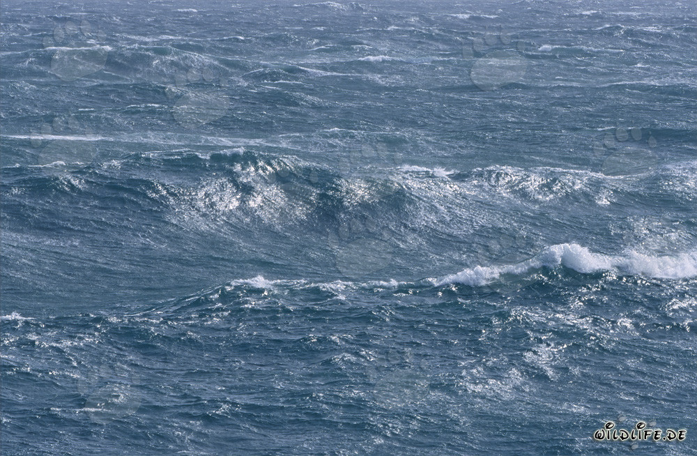 Tempesta sull'Oceano Atlantico meridionale vicino al Capo Agulhas all'estremità meridionale dell'Africa