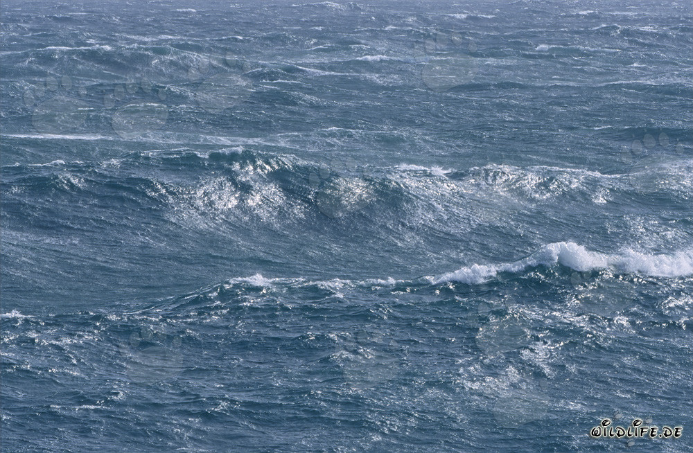 Tempête sur le Sud de l'Atlantique près de la pointe sud de l'Afrique