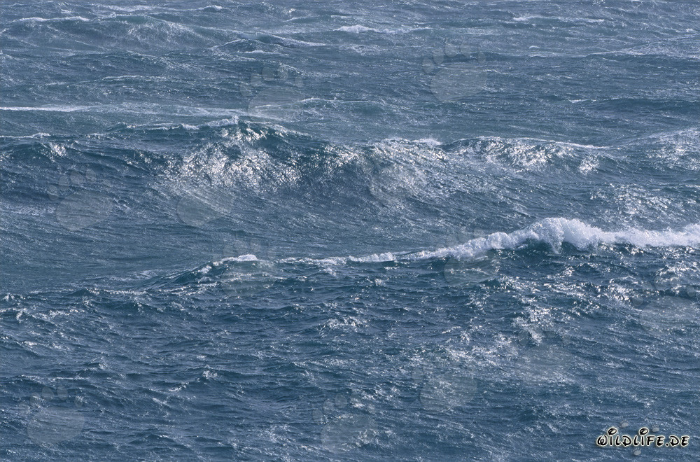 Mer agitée au Cap Agulhas, Afrique du Sud