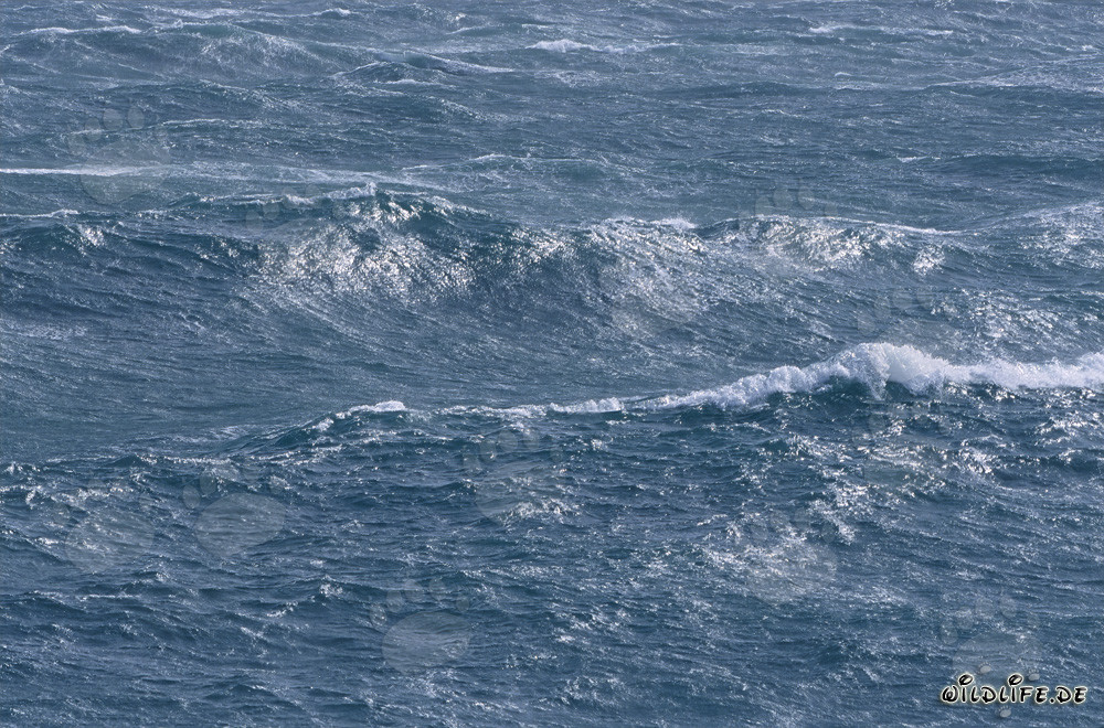 Strongly Sea Surface Motion at Cape Agulhas, South Africa
