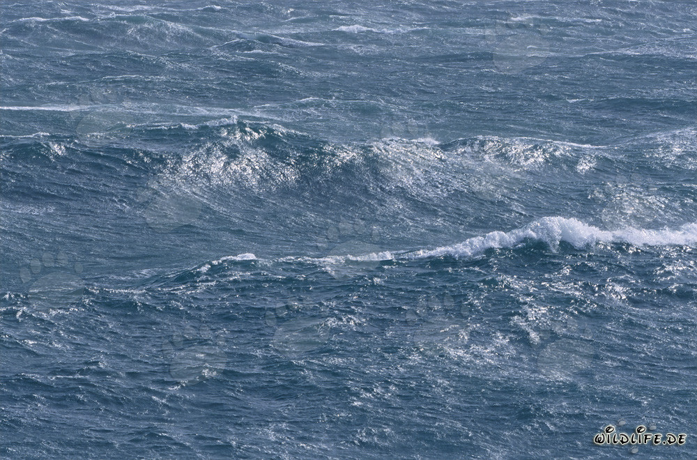 Superficie marina agitada en el Cabo Agulhas, Sudáfrica