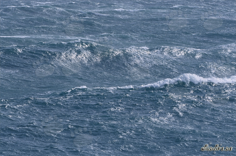 Superficie marina agitata al Capo Agulhas, Sudafrica