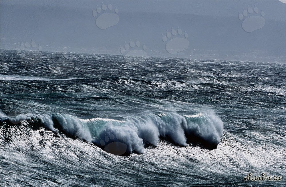 Stormy Sea at the Southern Tip of Africa