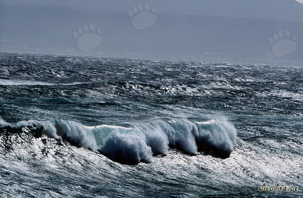Mare tempestoso alla punta meridionale dell'Africa