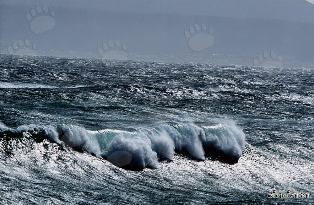 Mar tempestuoso en el cabo sur de África