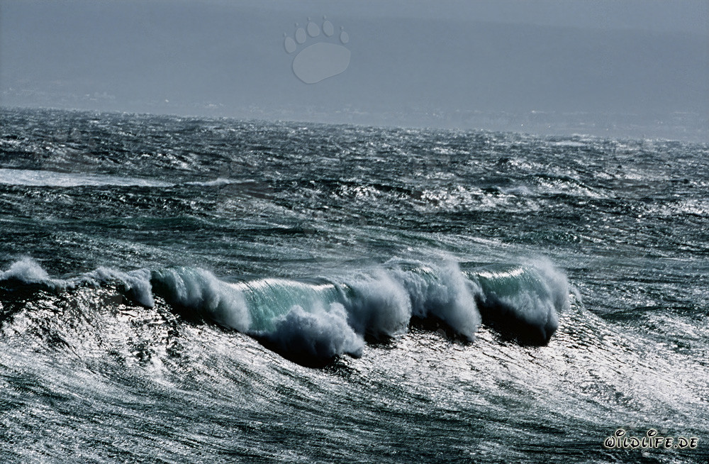 Mar agitado en el Cabo Agulhas, Sudáfrica