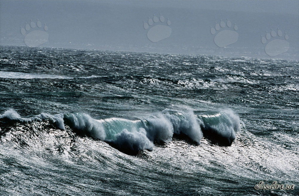 Mare agitato al Capo Agulhas, Sudafrica