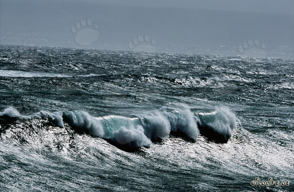 Mer agitée au Cap Agulhas, Afrique du Sud