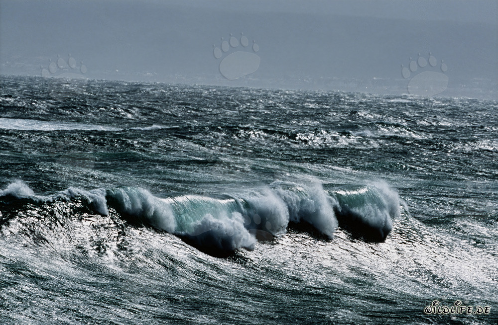 Stürmische See am Kap Agulhas, Südafrika