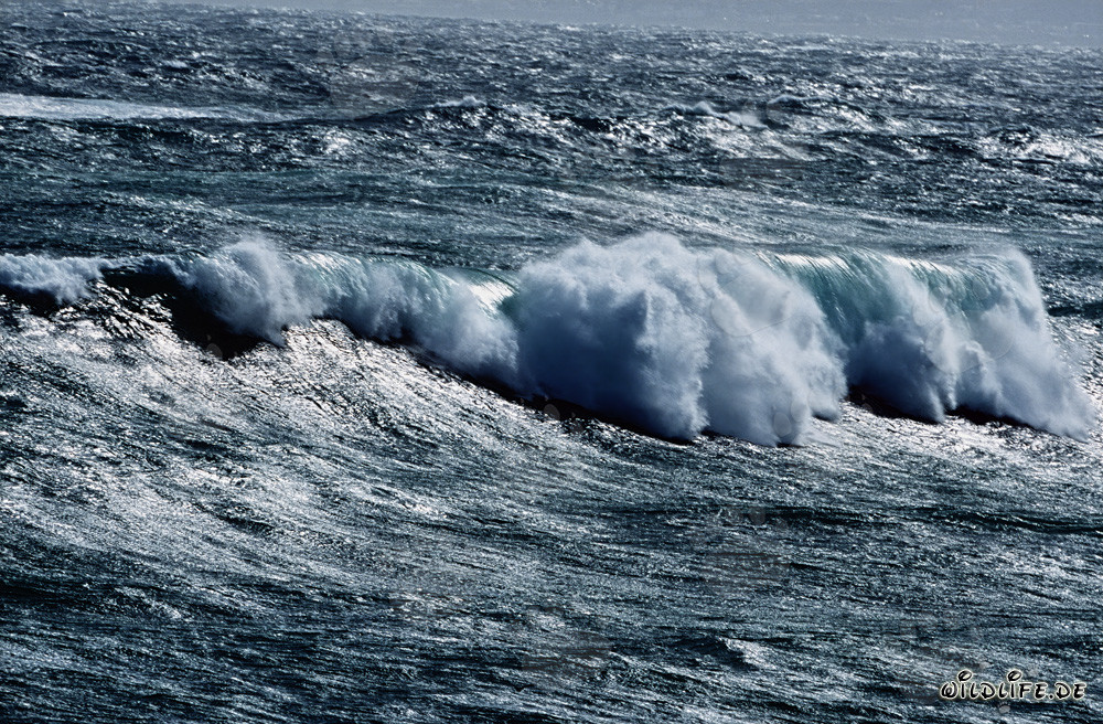 Violent storm with high waves at the southern tip of Africa in the South Atlantic