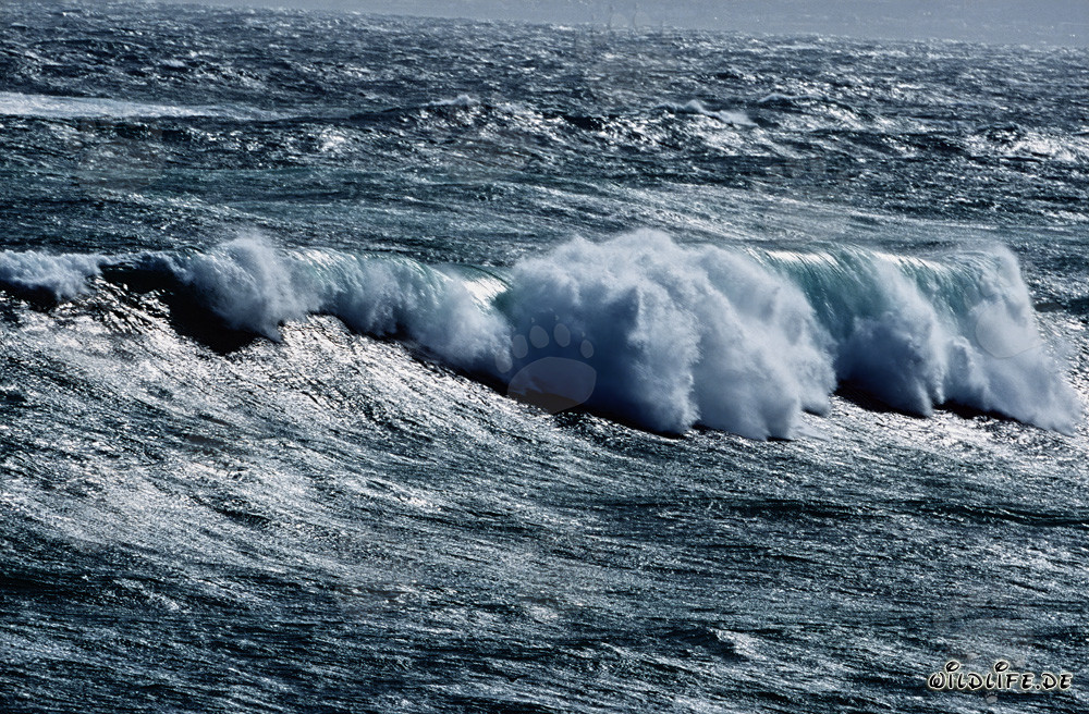 Tempesta violenta con onde alte alla punta sud dell'Africa nell'Atlantico del Sud