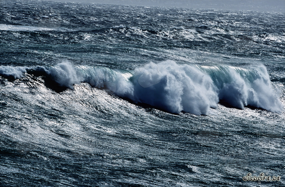 Tempête violente avec de hautes vagues à la pointe sud de l'Afrique dans l'Atlantique Sud