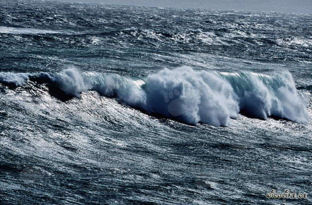 Tormenta feroz con olas altas en el cabo sur de África en el Atlántico Sur