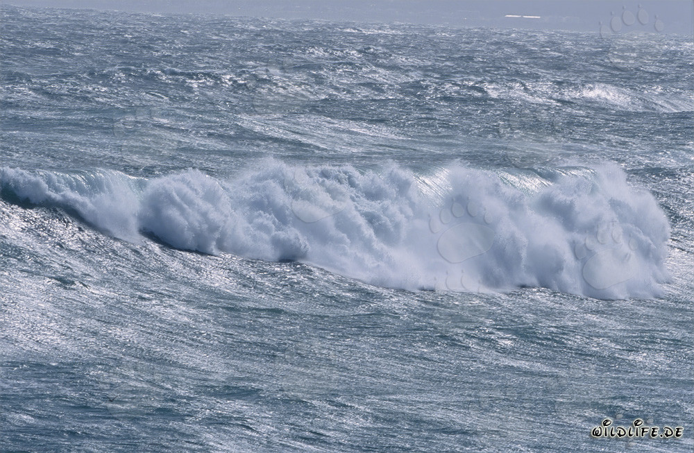 Mar tempestuoso en el Cabo Sur de África