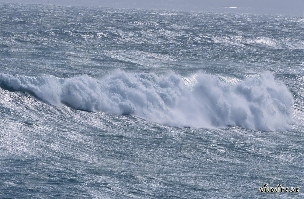 Mare in tempesta alla punta meridionale dell'Africa