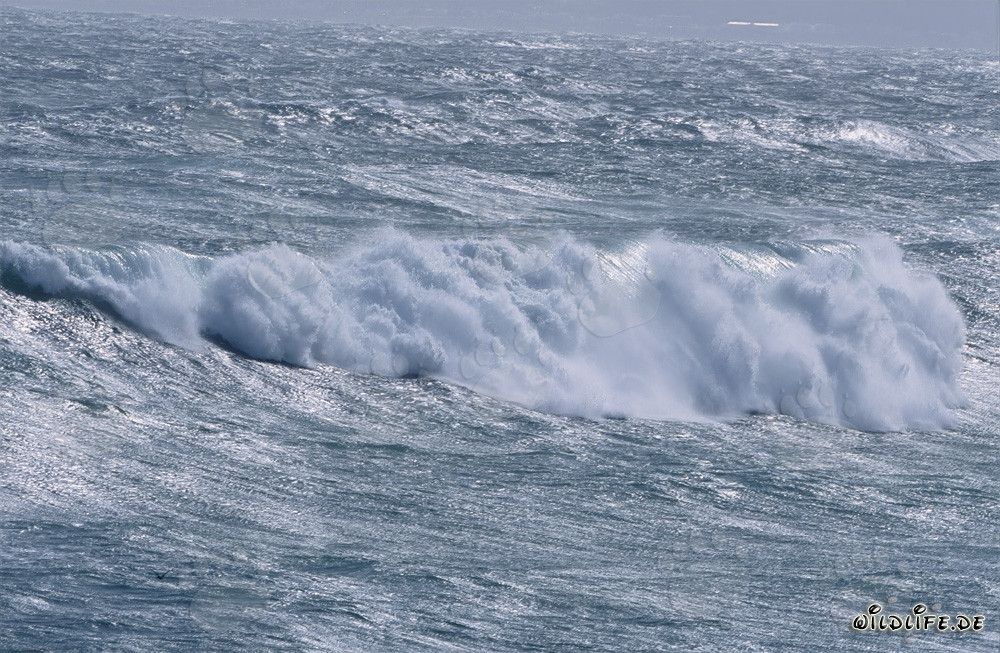 Mer agitée au cap Sud de l'Afrique