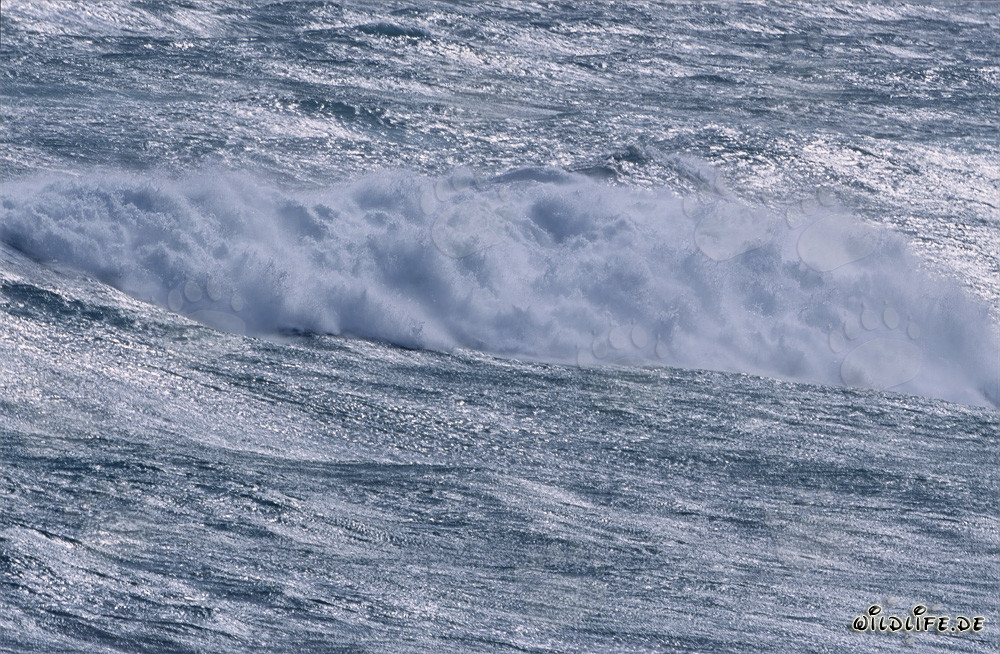 Storm and Waves at Cape Agulhas, South Africa