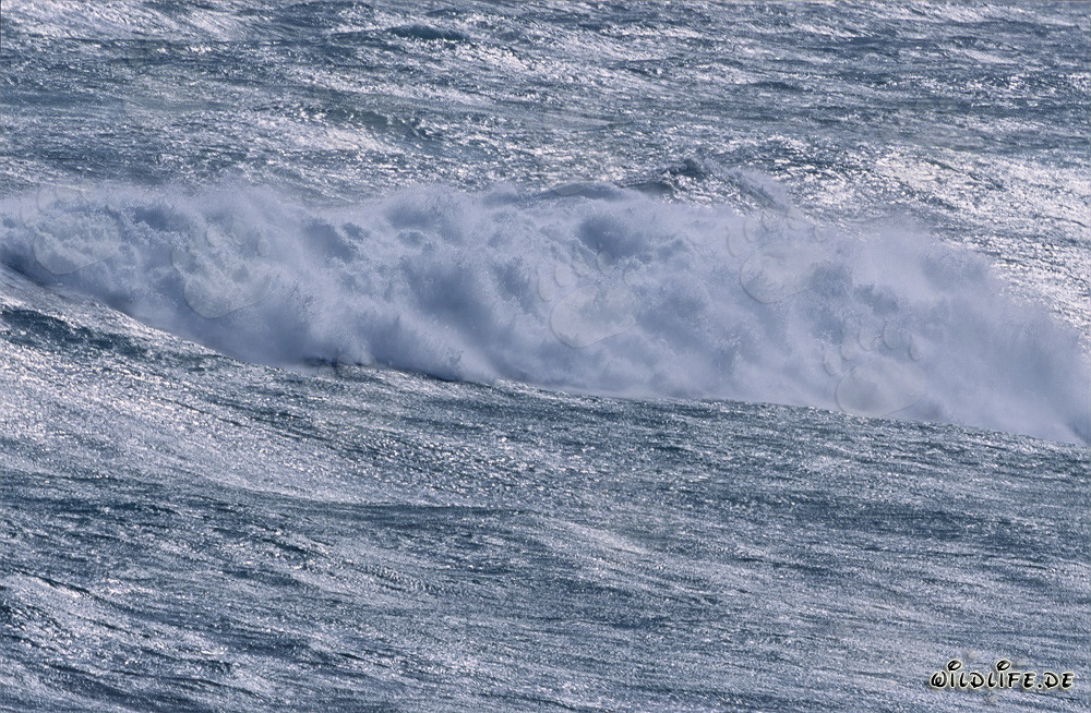 Sturm und Wellen am Kap Agulhas, Südafrika