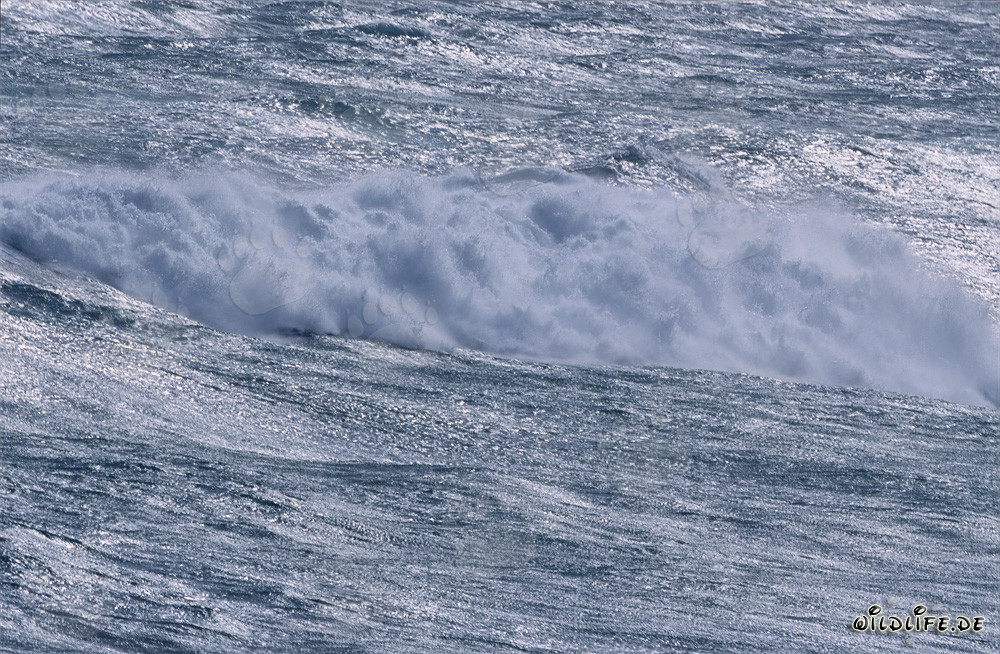 Tempeste e onde al Capo Agulhas, Sudafrica