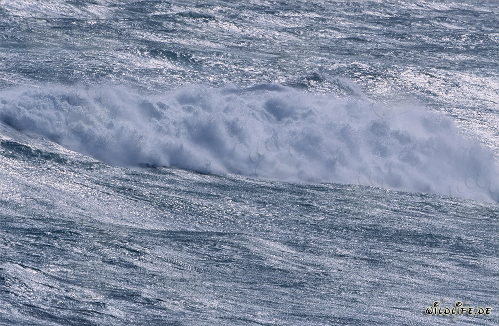 Tormentas y olas en el Cabo de Agulhas, Sudáfrica