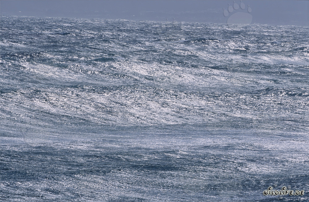 Mer agité au cap Sud de l'Afrique