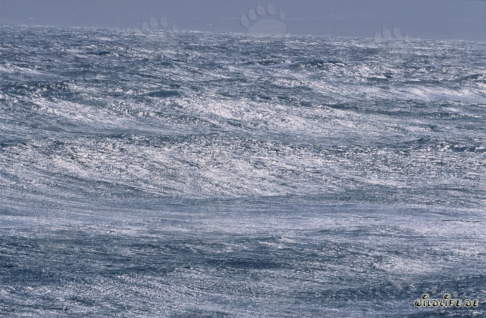Stürmisches Meer an der Südspitze Afrikas