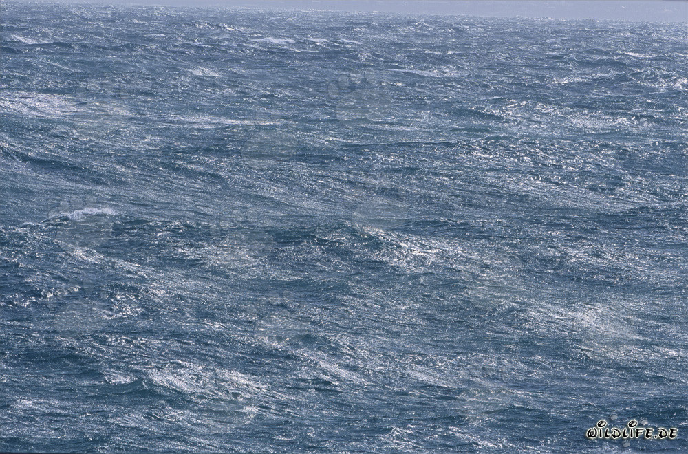 Mare tempestoso alla punta meridionale dell'Africa