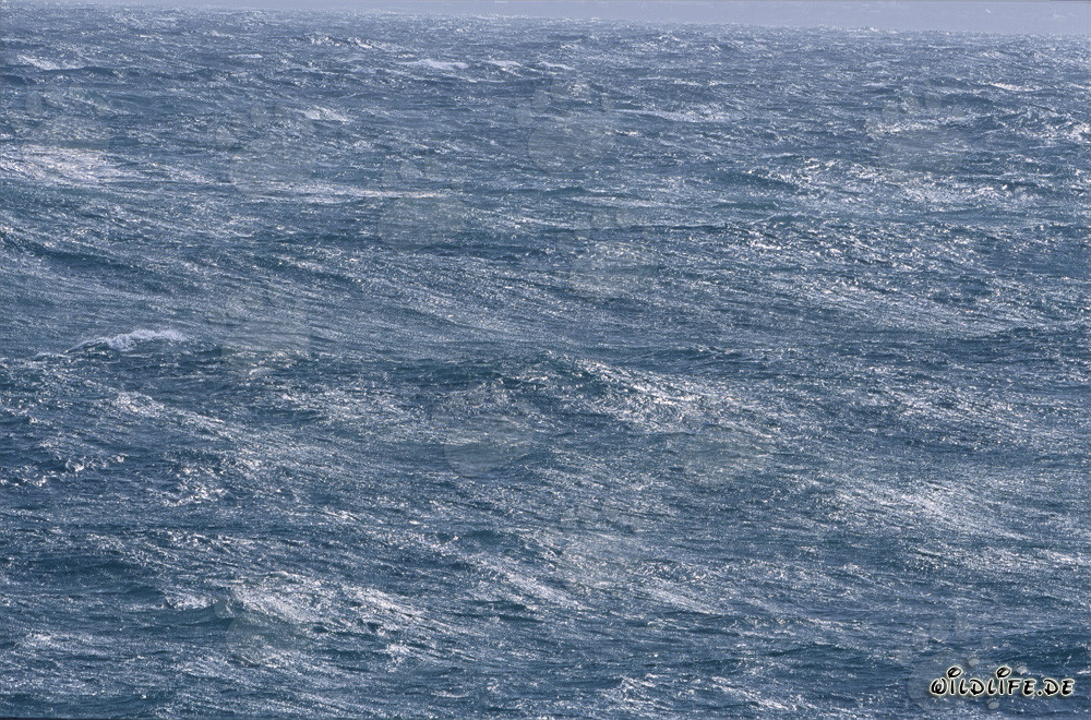 Mer agité au cap Sud de l'Afrique