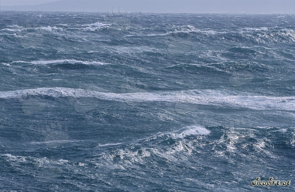 Mare tempestoso al Capo Agulhas