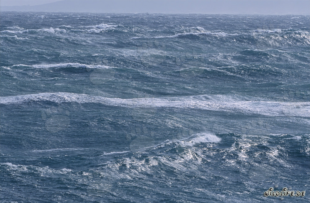 Mer déchaînée au Cap Agulhas