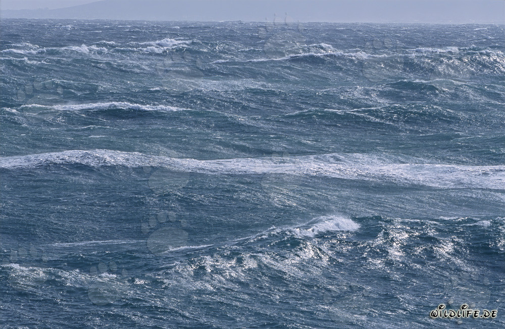 Stormy Seas at Cape Agulhas