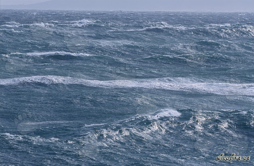 Sturmgepeitschte See am Kap Agulhas