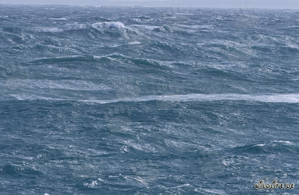 Storm and High Waves at the Southern Tip of Africa