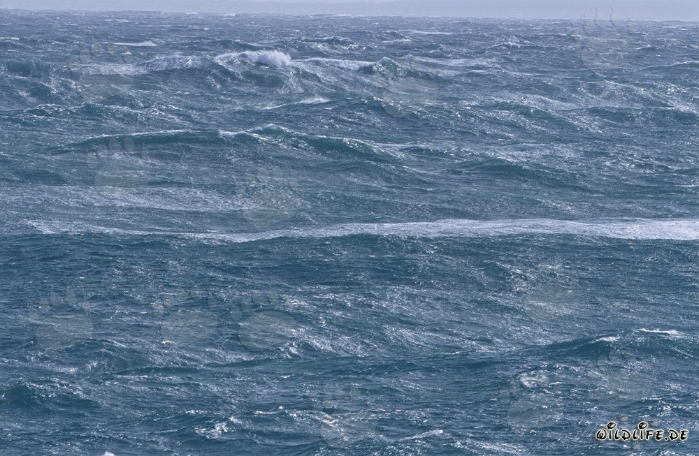 Tempesta e onde alte al Capo di Buona Speranza