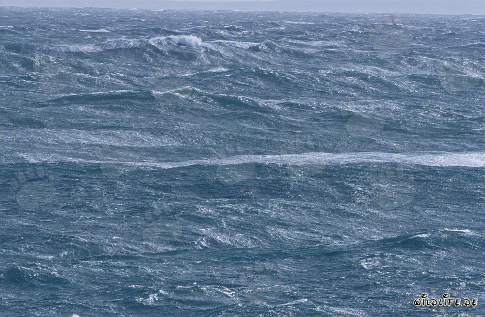 Tormenta y olas altas en el cabo de África del Sur