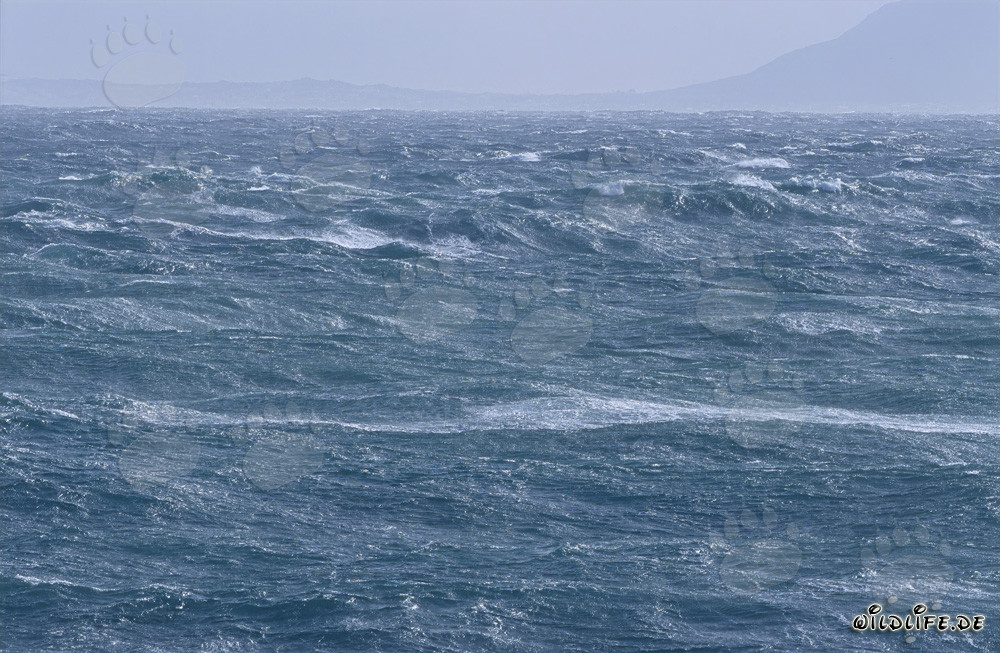 Storm at Cape Agulhas - Wild Sea in South Africa
