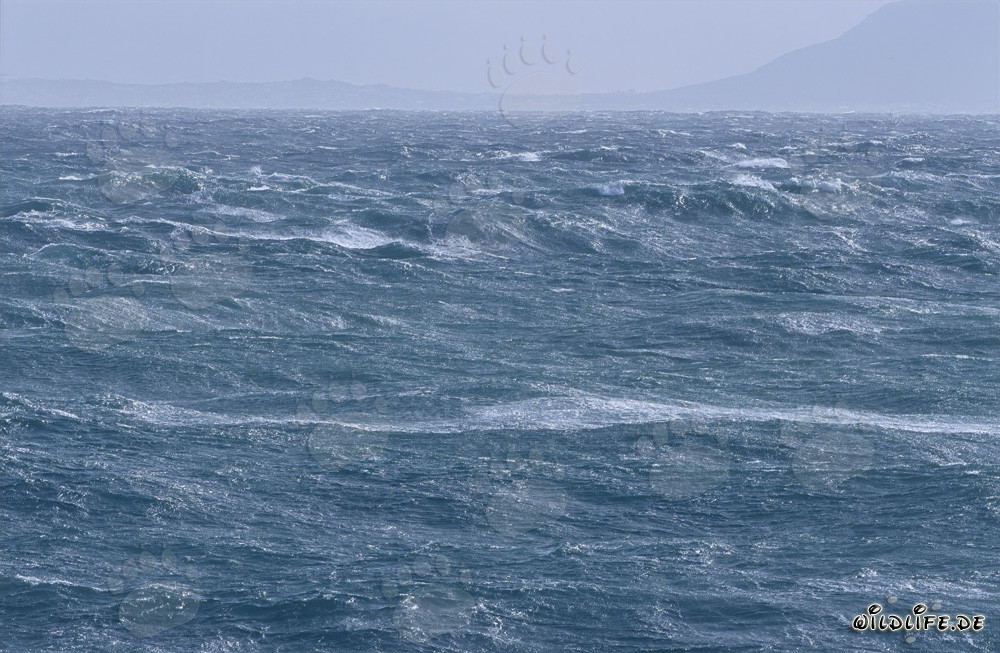 Sturm am Kap Agulhas - Wilde See in Südafrika