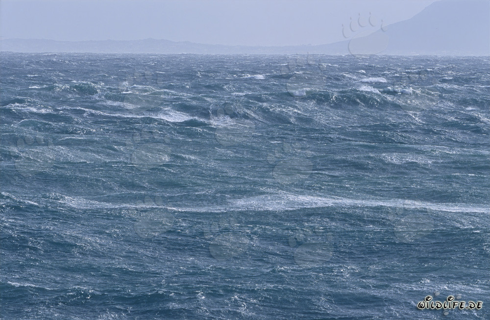 Tempesta al Capo Agulhas - Mare selvaggio in Sudafrica