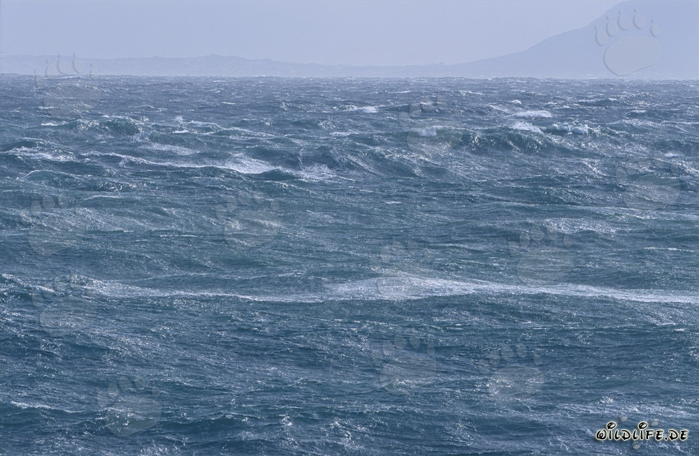 Tormenta en el Cabo Agulhas - Mar Salvaje en Sudáfrica