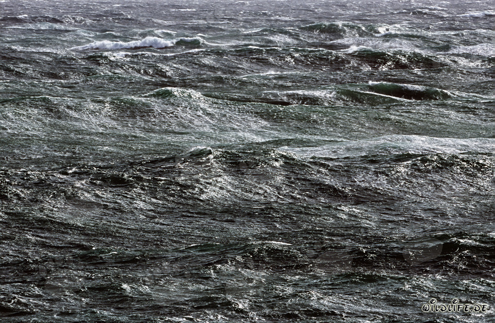 Mar tempestuoso en el Cabo de las Agujas en el sur de África