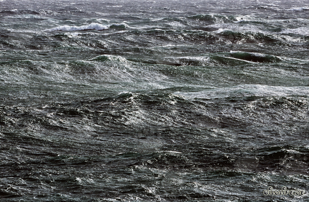 Stormy Sea on the Southern Tip of Africa