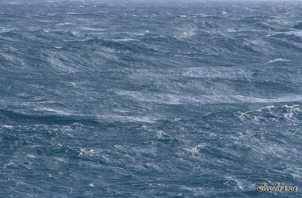 Mar tempestuoso en el Atlántico Sur