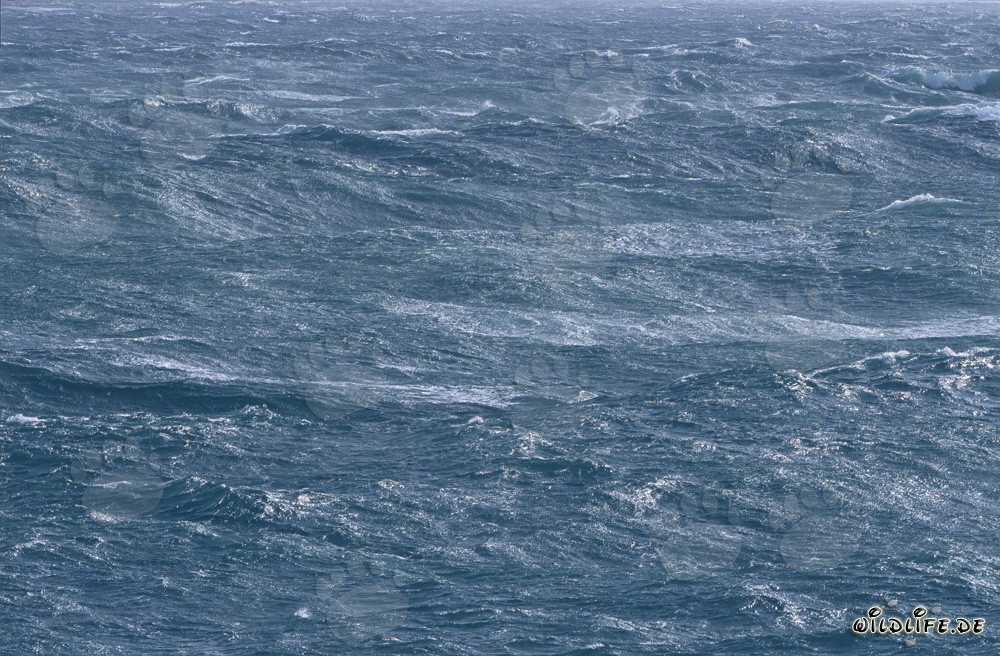 Mare in tempesta nel Sud Atlantico