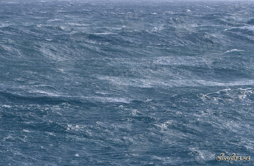 Mer agitée dans le sud de l'Atlantique